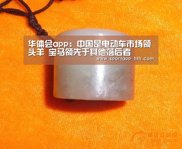 华体会app:中国是电动车市场领头羊 宝马领先于其他落后者(图2) 华体会app