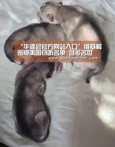 华体会app
