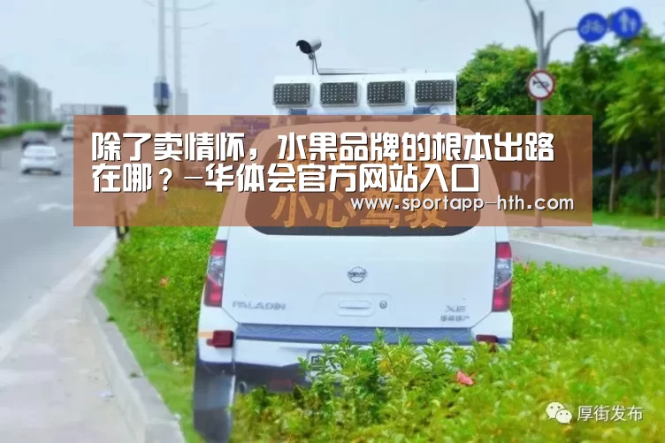 除了卖情怀,水果品牌的根本出路在哪?-华体会官方网站入口(图4) 华体会官方网站入口