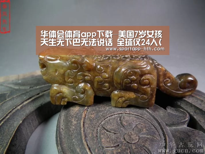 华体会官方网站入口