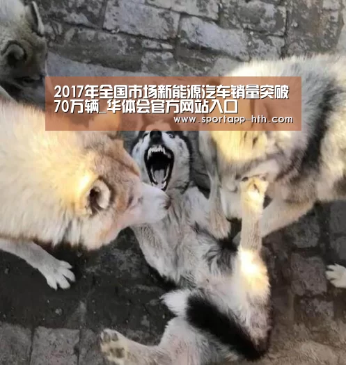 2017年全国市场新能源汽车销量突破70万辆_华体会官方网站入口(图3) 华体会体育app下载